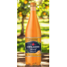 Limonadas San Pellegrino su apelsinais 1.2L